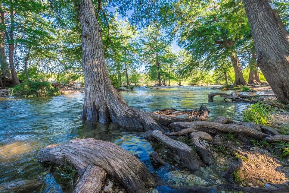 River Bluff Rio Frio